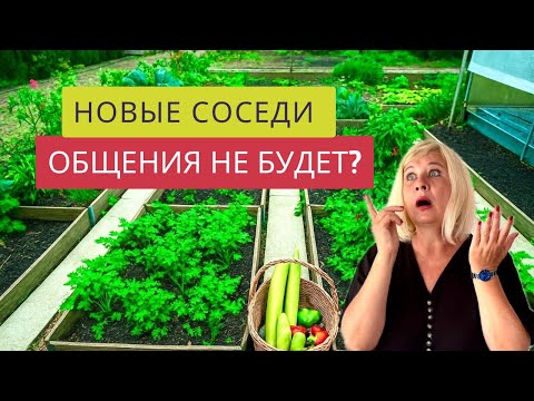 ЧТО ТВОРИТСЯ В ОГОРОДЕ ПОСЛЕ ОТПУСКА!🍅🫑🌶️ПРИЕХАЛА,А ТАМ-НОВЫЕ СОСЕДИ!😳КАК МЫ БУДЕМ РАЗГОВАРИВАТЬ??😱❌
