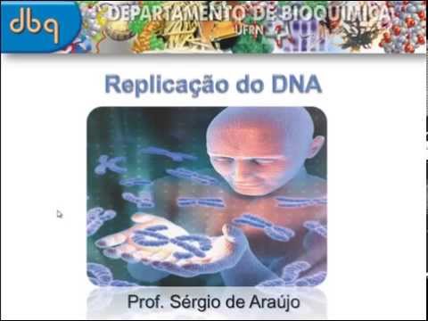 Vídeo: Como a replicação do DNA garante a continuidade da forma e da função?