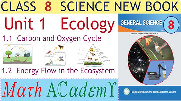 Class 8 Science Unit 1 Ecology | Carbon and oxygen cycle | Energy flow in the ecosystem