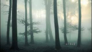 Forbearance - A Tao Meditation by Deng Ming-Dao