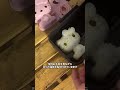 キティちゃんのお弁当作ってみた