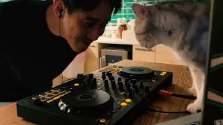THAI R&B Groove - DJ Mix SET / Groove Riders / Cyndi seui  / HYBS / Others...[Cat included]