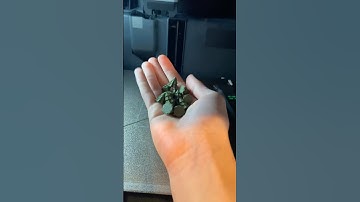 Day 8 of 3D printing a Christmas tree for every subscriber #christmas #3dprinting