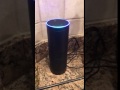 ALEXA DOES AMAZON WORK FOR THE C.I.A.?!