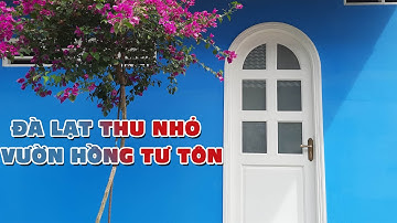 Đà Lạt thu nhỏ trong vườn hồng Tư Tôn