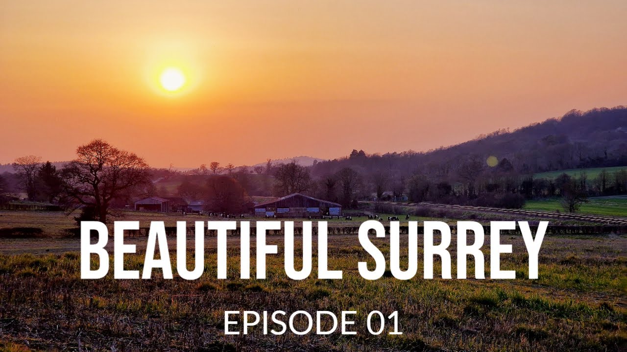 You have to see Abinger Roughs and Netley Park in Surrey UK - YouTube
