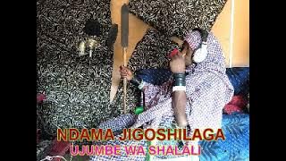 NDAMA JIGOSHILAGA HARUSI KWA MAGANGA by lwenge studio