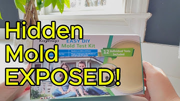 KAYENQO Mold Test Kit for Home | DIY Air & Surface Testing for Hidden Mold (Review)