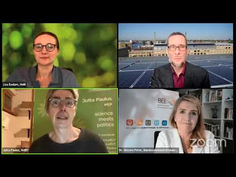 Video: Sind erneuerbare Energiequellen günstiger?