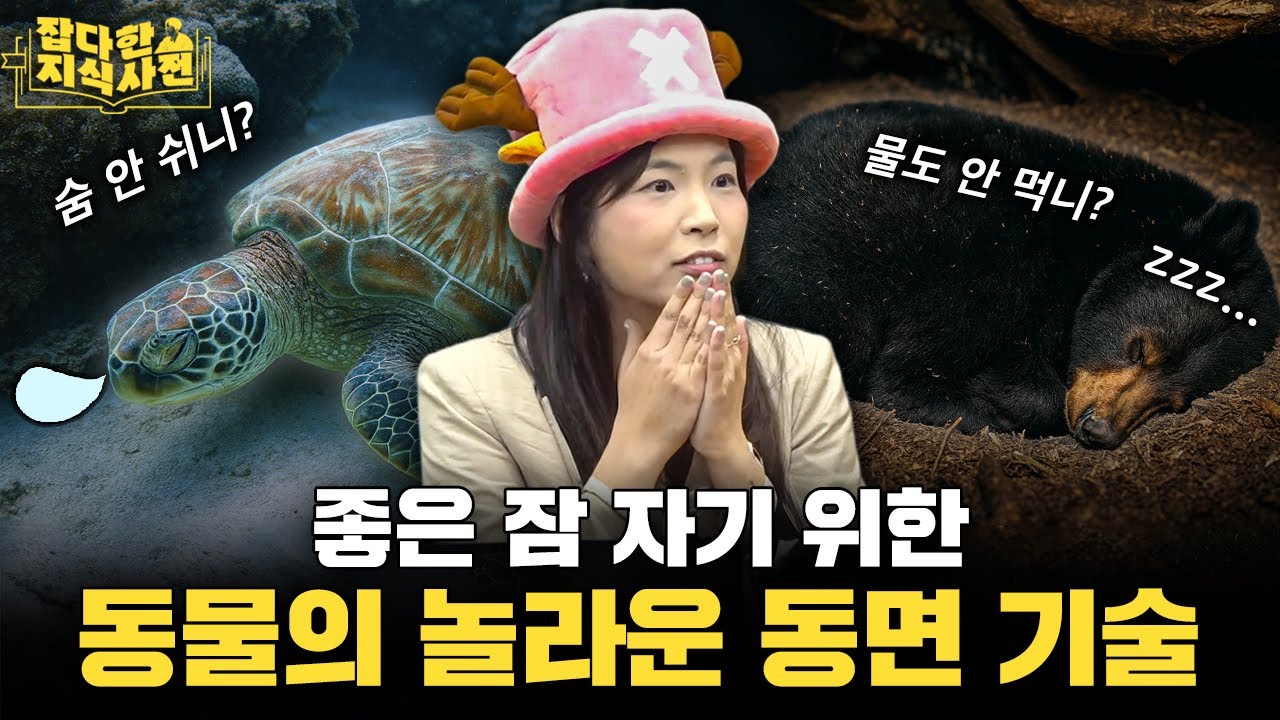 먹이와 번식을 포기하고 잠을 택한 동물들💤 금붕어, 거북, 이구아나, 초파리의 경이로운 수면법