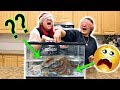 WHAT'S IN THE BOX CHALLENGE Girls vs Boys | UNDERWATER EDITION