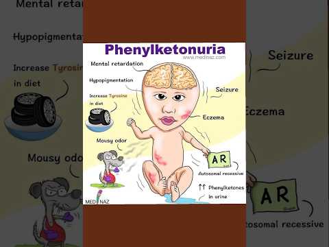 Phenylketonuria question| Genetics