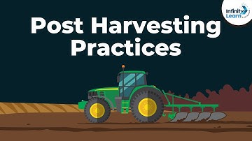 Weeds and Protection against them | Crop Production and Management | Don