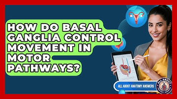 How Do Basal Ganglia Control Movement In Motor Pathways? - All About Anatomy Answers