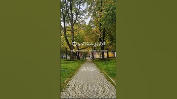 تلاوة خاشعة من سورة الشعراء للقارئ الشيخ محمود خليل الحصري ✨️✨️