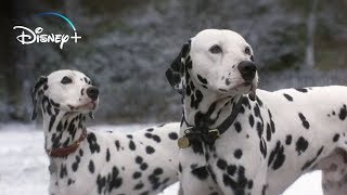101 Dálmatas  Pongo & Perdy van al Rescate de sus Cachorros (HD)