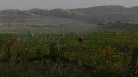 Reflections- Fragile Balance