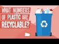 What Numbers of Plastic are Recyclable?