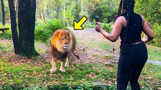 Lion Reunites With Caretaker After 8 Years. His Reaction Will Shock You! by UNITY 67,527 views 2 weeks ago 17 minutes