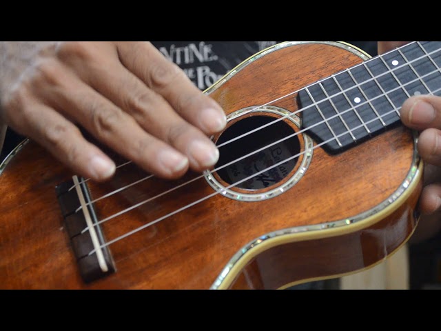 A Night Of Ukulele Jazz ライルリッツ&ハーブオオタ A Night Of Ukulele Jazz ライルリッツ&ハーブオオタ A Night of