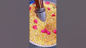 Self-priming feed grinder; self-priming grinding machine; special for animal breeding.