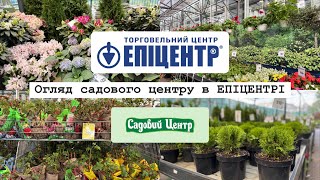 видео: Садовий центр в ЕПІЦЕНТРІ.Асортимент та ЦІНИ на садові рослини, квіти та саджанці.Що купити для саду картинка: Садовий центр в ЕПІЦЕНТРІ.Асортимент та ЦІНИ на садові рослини, квіти та саджанці.Що купити для саду