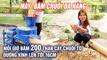Máy Băm Chuối Đa Năng Bình Quân -  Mỗi Giờ Băm Được 200 Thân Cây Chuối To, Đường Kính Lên Tới 16cm