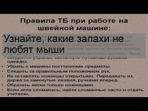 Узнайте, какие запахи не любят мыши