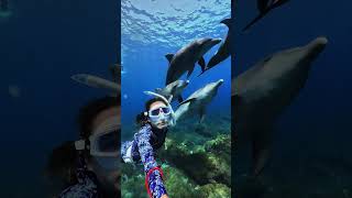 Gopro | Close Encounter With A Dolphin Pod 🎬 Sayaka Muramoto #Shorts