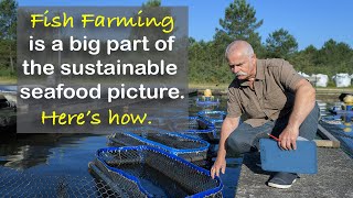 Seafood Sustainability and the Role of Fish Farming