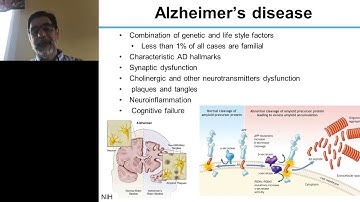 Bridging the translational gap in rodent behavioral testing using touchscreens..