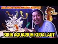 BIKIN AQUARIUM KUDA LAUT DI KAMAR! BISA MUAT BANYAK KUDA LAUT LUCU! SIAP-SIAP HUNTING HEWAN LAUT!