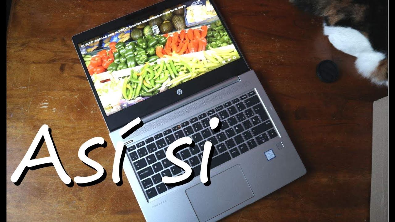 HP Probook 430 G6 Por Fin Un Port til Que Puedo Sacar En Las Reuniones YouTube