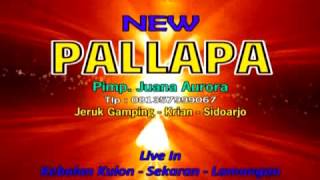 New pallapa puing puing live kebalankulon lamongan