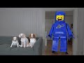 Giant Lego Toy vs Dog Prank! Funny Dogs Maymo, Potpie, and Penny Legos Pranks