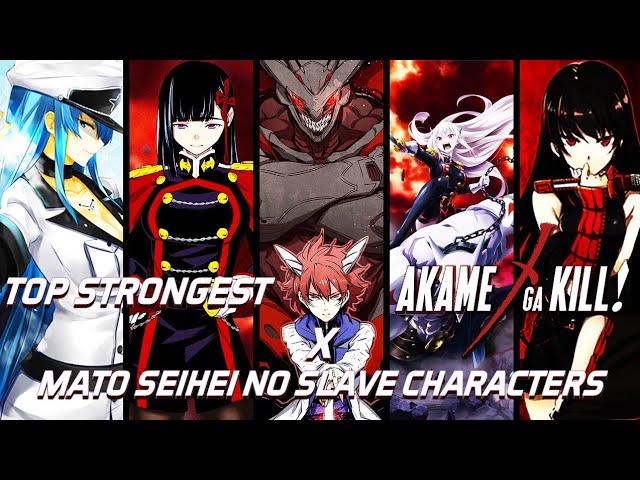 AKAME GA KILL O BLEACH SEINEN