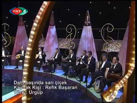 Bircan Pullukçuoğlu - Dam Başında Sarı Çiçek (Feridem)