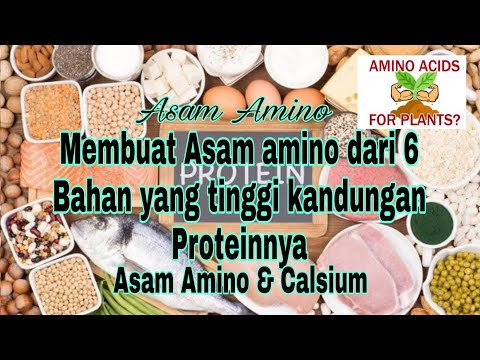 Video: Dengan fermentasi asam campuran?