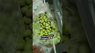 Zeytin Çıtlatıyoz Baciğooo