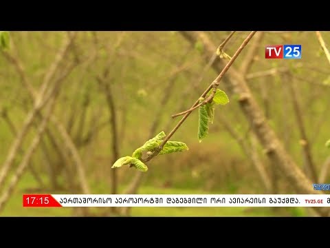 ექსტენციის პროგრამა ფერმერებისთვის