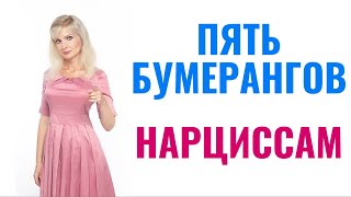 Пять типов бумерангов нарциссам