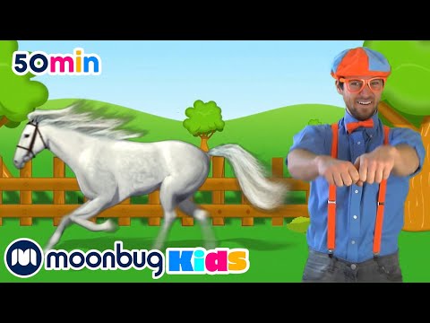 Learn About Horses!