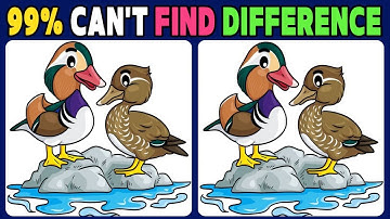 【Find the Difference】Only 1% Can Find Differences In 90 Seconds【Spot the difference】