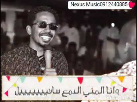 احمد النيل