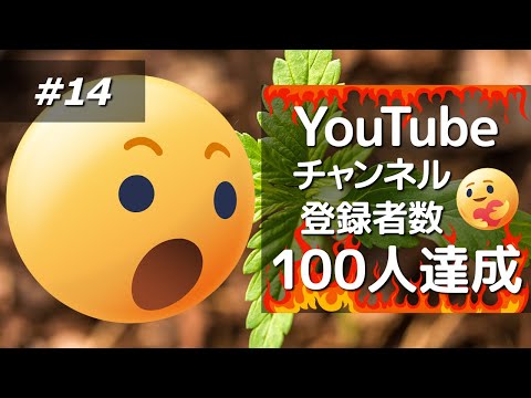【祝】チャンネル登録者数100人達成［#14］