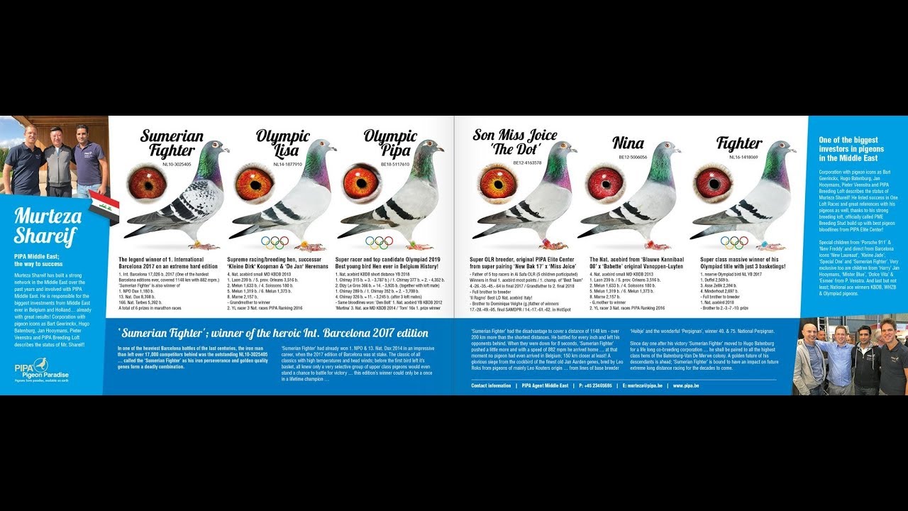 PME VISIT   STEFFAN LAMBRECHTS  LINCEA  زيارة البطل ستيفان لامبرخت