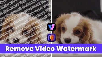 How to Remove Watermark from Video for FREE (2026 Tutorial)