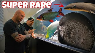 You won’t believe what fish he gave us...  AMAZING MONSTER FISH ROOM