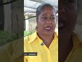Farmers express thanks to government