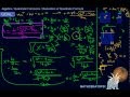 Building the quadratic formula from scratch